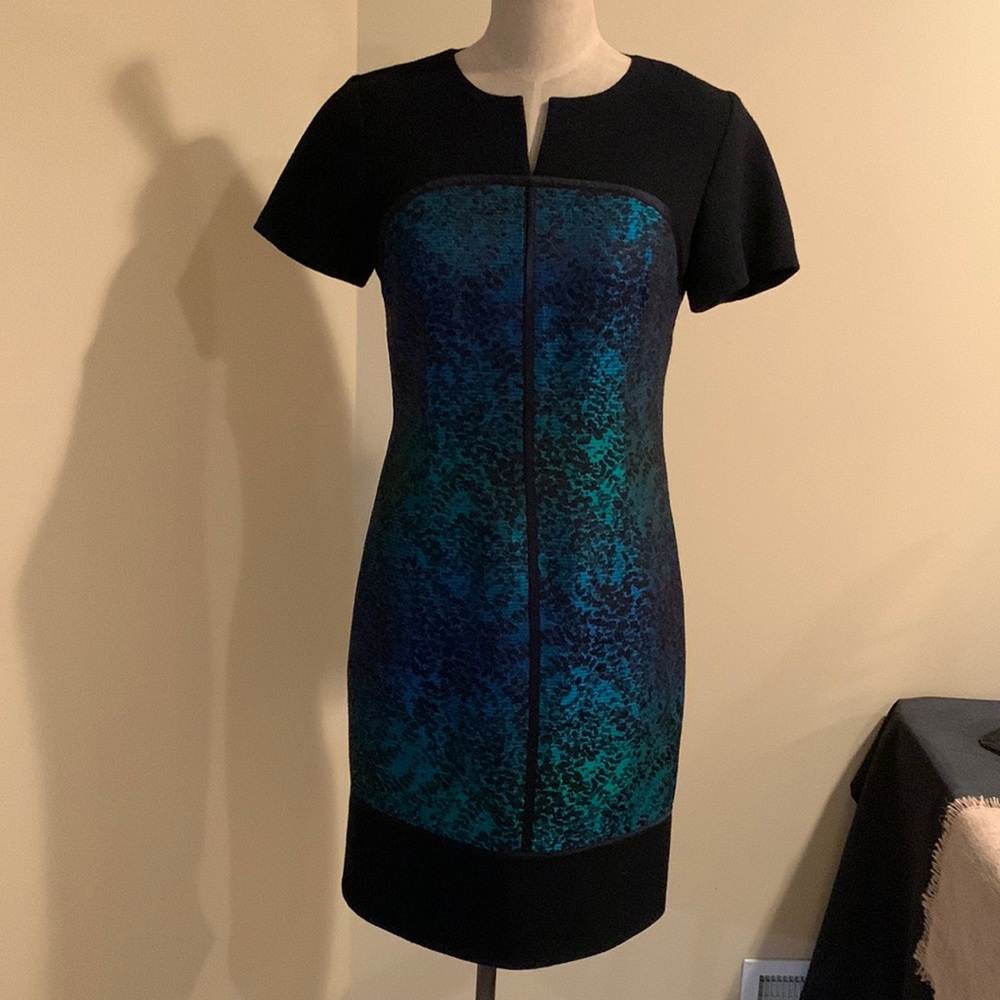 Ricki Freeman Teri Jon Dress